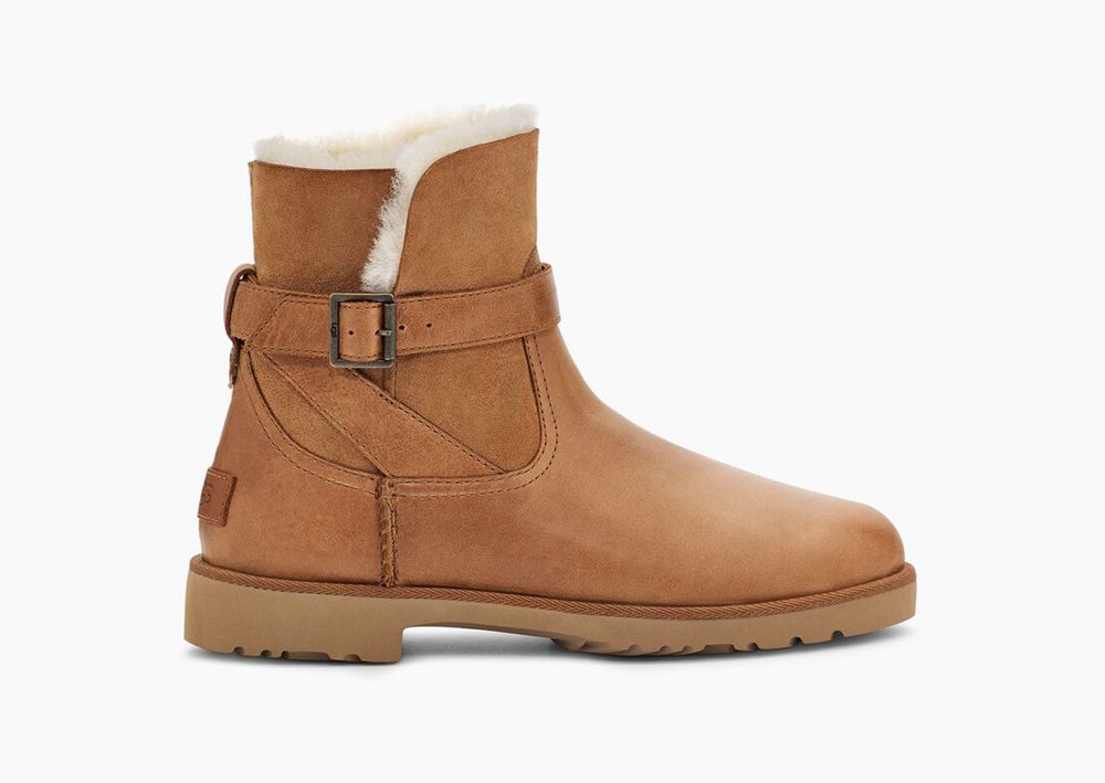 Ugg Classic Boot Womens - Ugg Romely Buckle Brown - 610HEUIJP